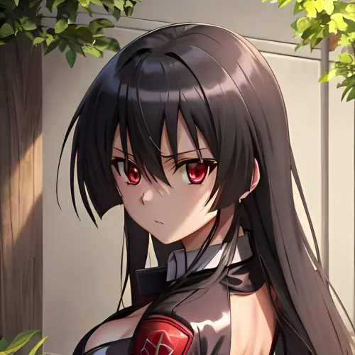 akame ga ki dp