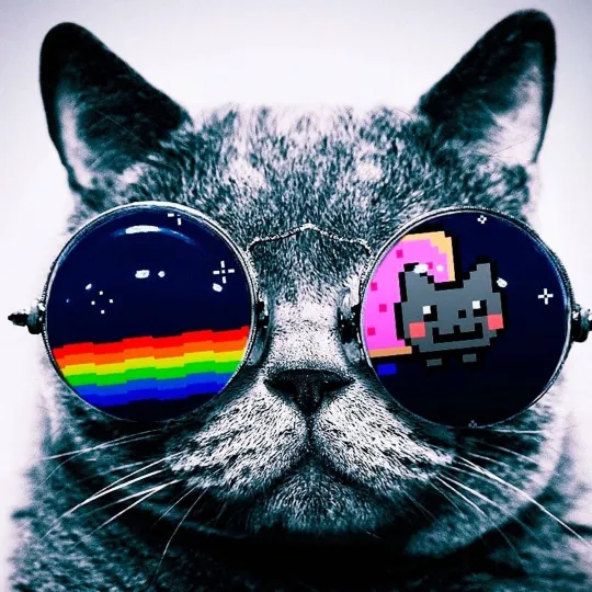 Nyan Cat Dp