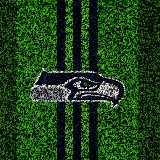 seattle seahawks logo dp