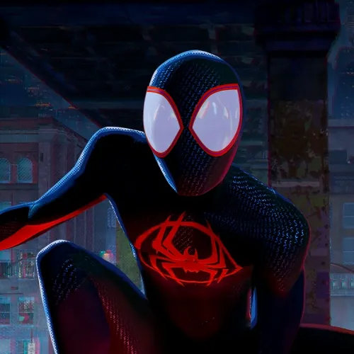 thumb for Spider Man Across The Spider Verse Profile Picture