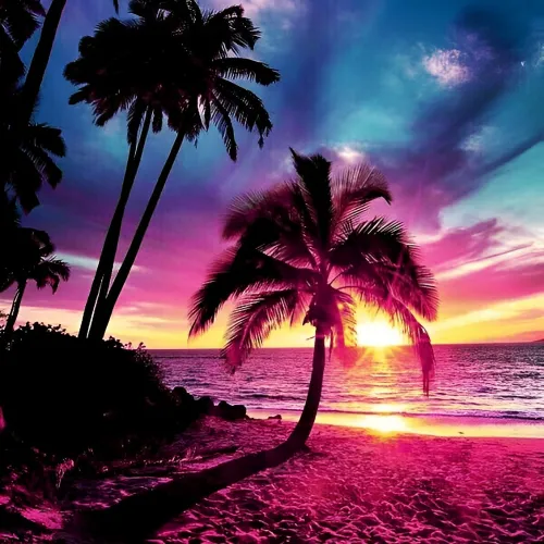 palm tree sunset profile pic