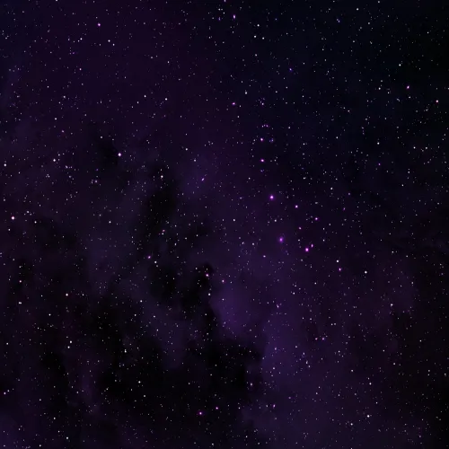 purple space dp