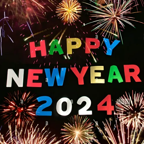happy new year profile pic 2024
