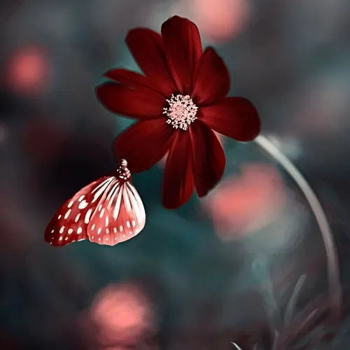 beautiful flower profile pic