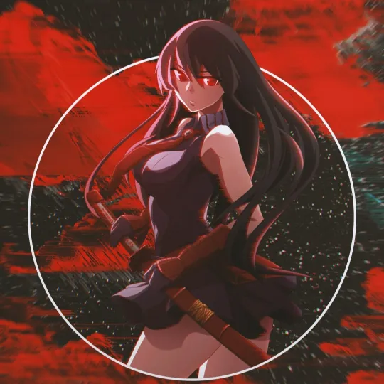 akame ga kill pfp