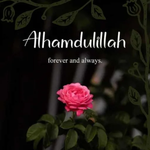 thumb for Alhamdulillah Pfp