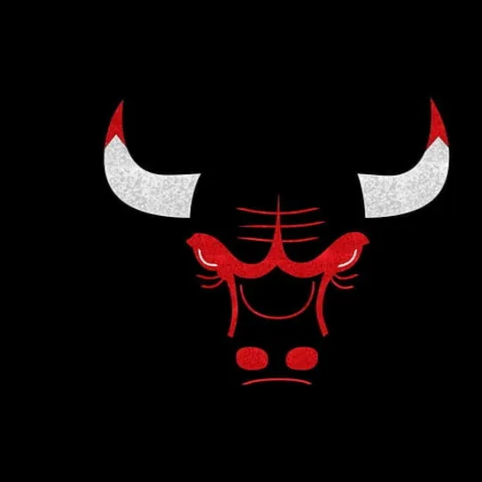 chicago bulls pfp