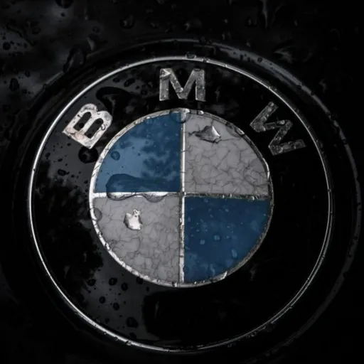 thumb for Bmw Logo Pfp