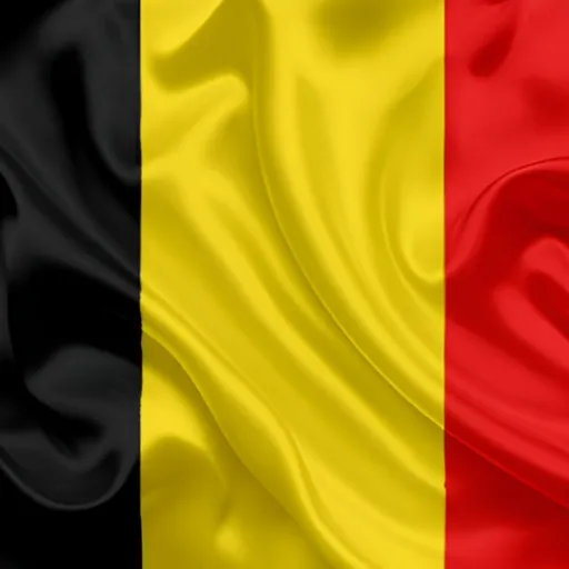 belgium flag pfp