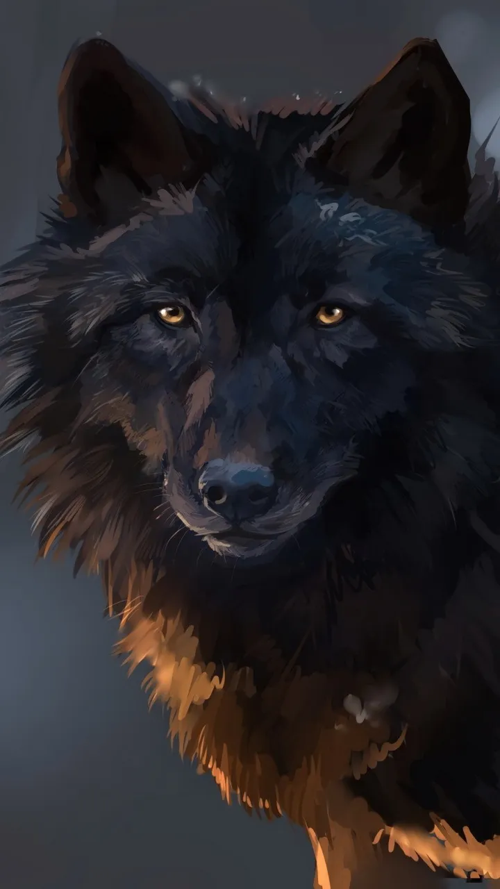 black wolf hd wallpaper