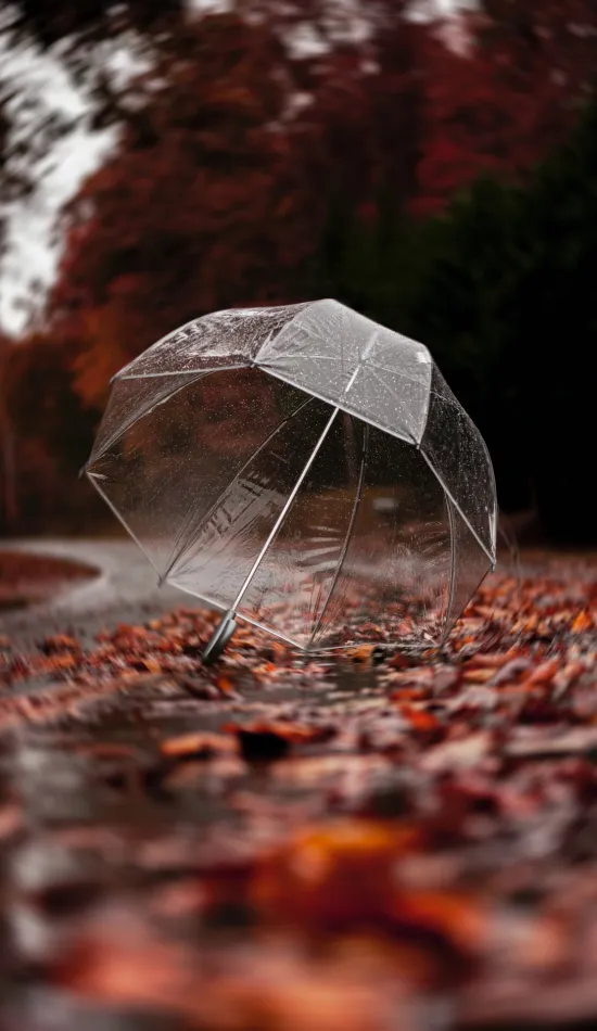 umbrella rain leaves wallpaper