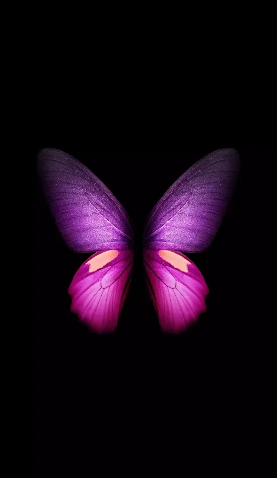 Amoled Butterflies Wallpapers