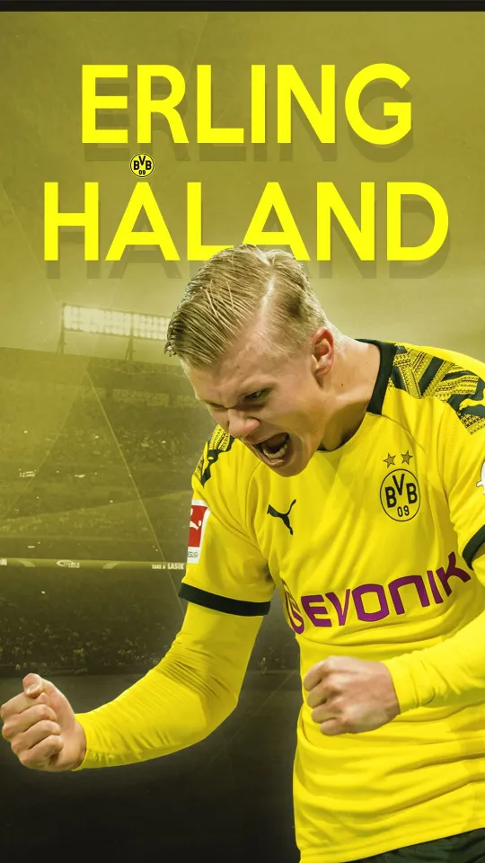 erling haaland background