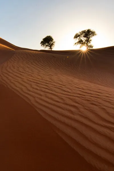 thumb for Ghaf Trees And Pristine Red Sand Wallpaper