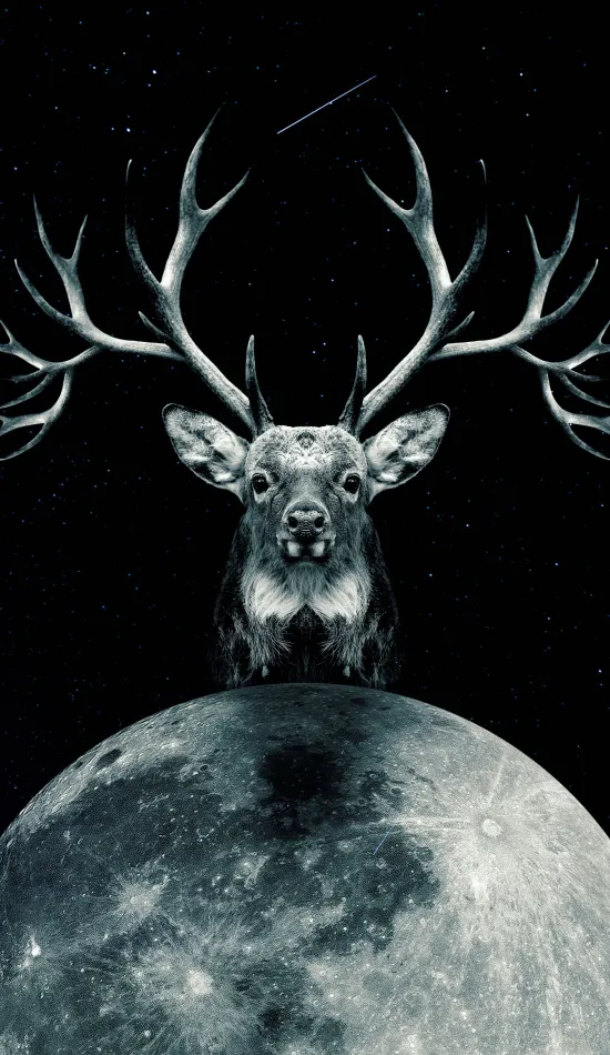cool deer wallpaper