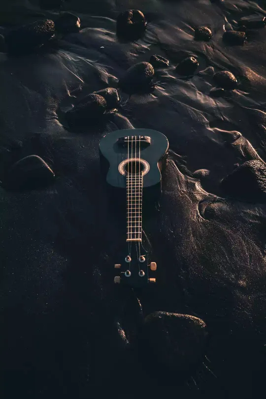 ukulele standard wallpaper
