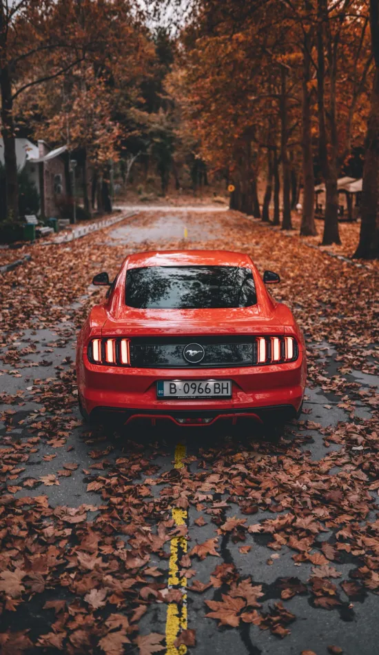 thumb for Red Ford Mustang Wallpaper