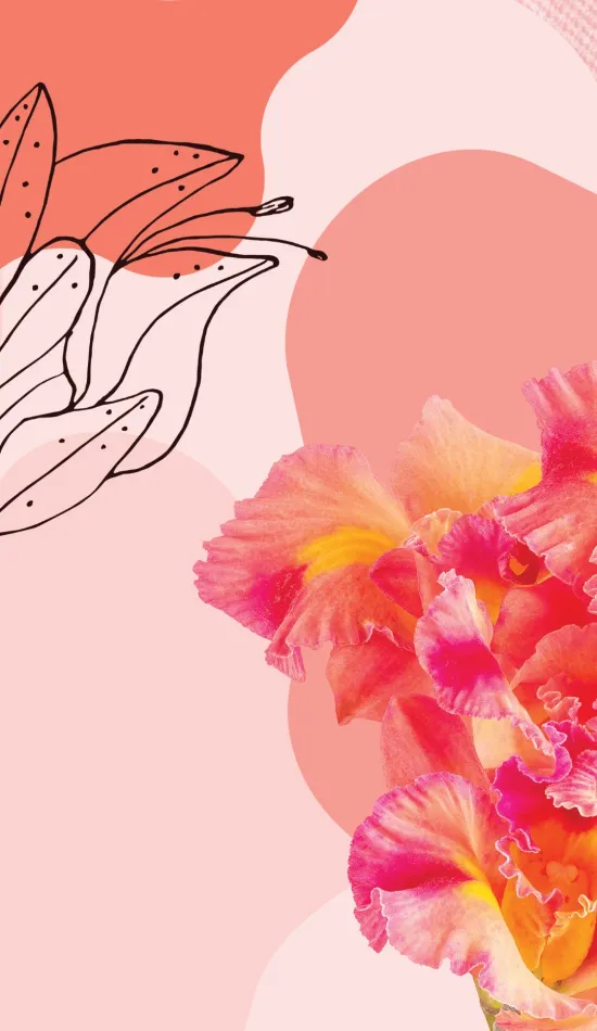 thumb for Cattleya Orchids Flower Wallpaper