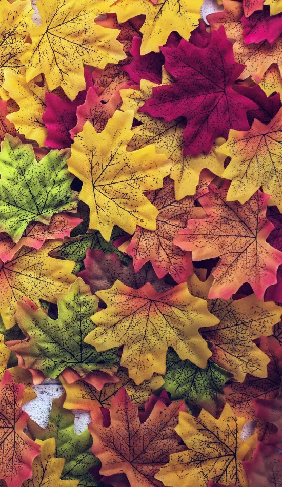 thumb for Colorful Leaves Wallpaper