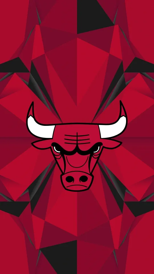 chicago bulls logo wallpaper