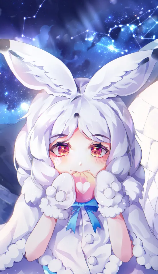 cute arctic hare wallpaper