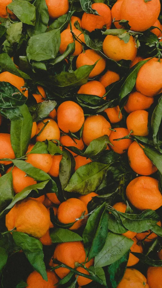 thumb for Orange Fruit Wallpaper