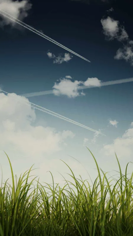 thumb for Grass Sky Wallpaper