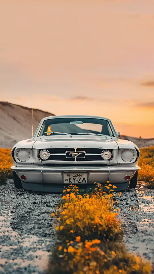 old ford mustang