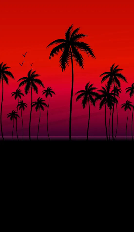 red palm oled wallpaper