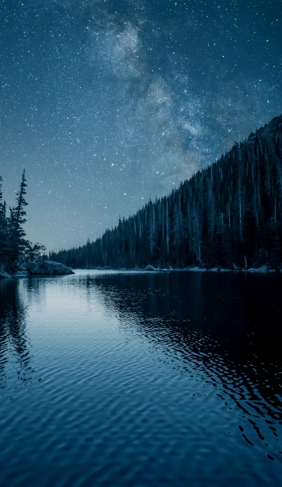 thumb for Forest Lake Night Wallpaper