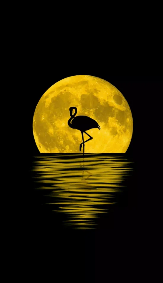 thumb for Flamingo Moon Wallpaper