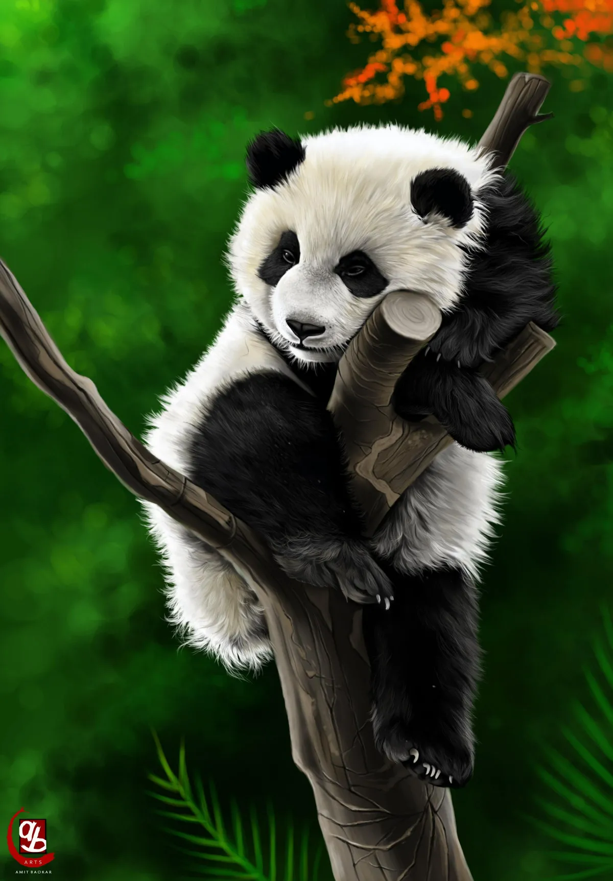 thumb for Panda Hd Wallpaper