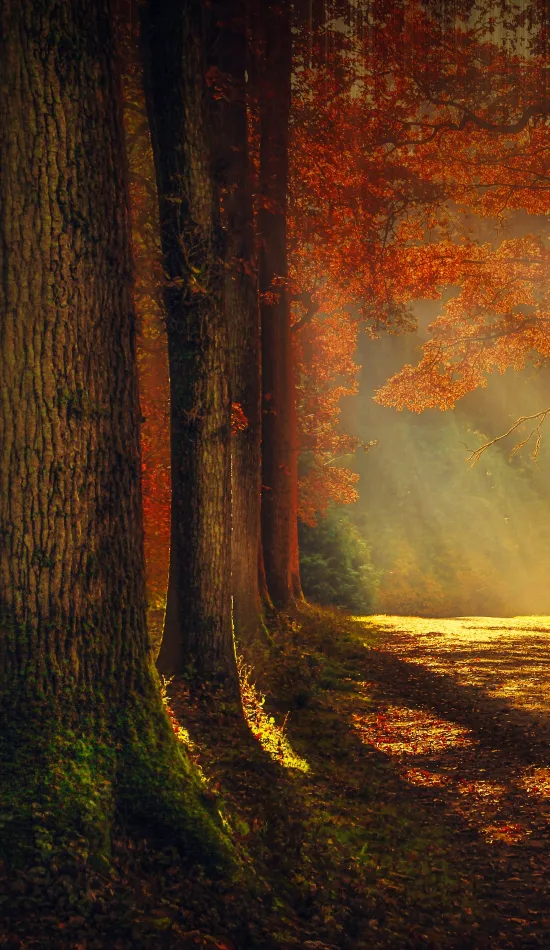 beautiful autumn landscape wallpaper