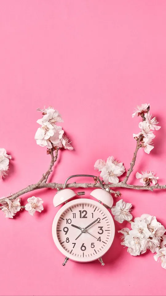 sakura flowers clock wallpaper