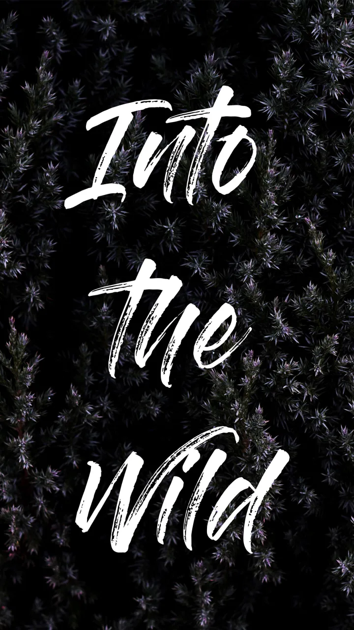 into the wild quotes wallpaper