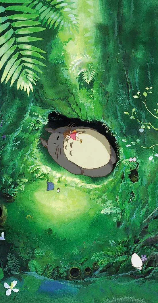 thumb for Totoro Lock Sreen Wallpaper