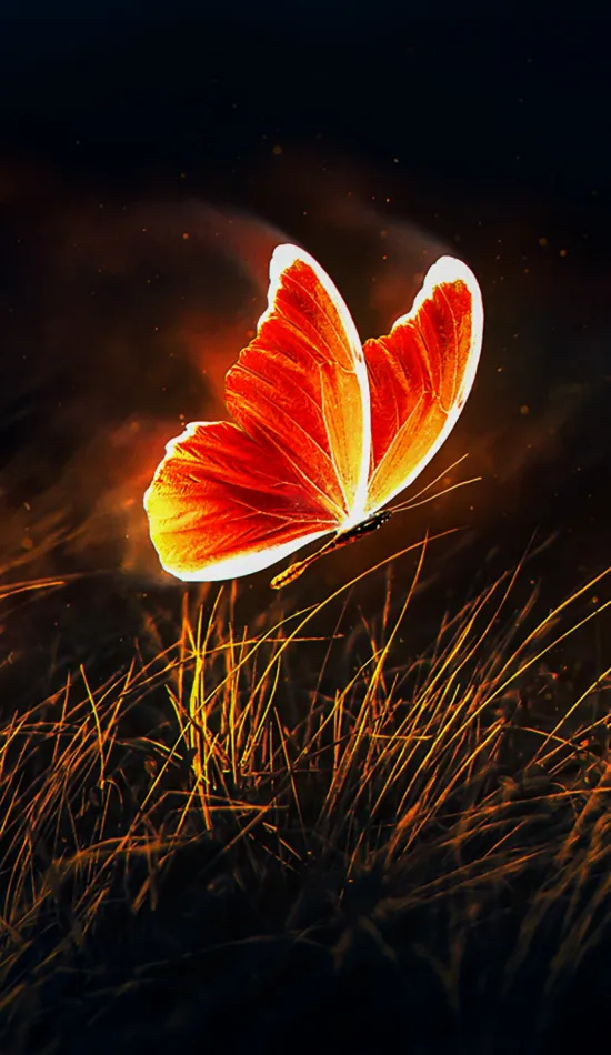 thumb for Neon Butterfly Wallpaper