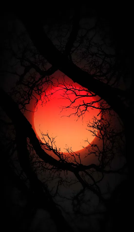 thumb for Blood Moon From Tree Wallpaper