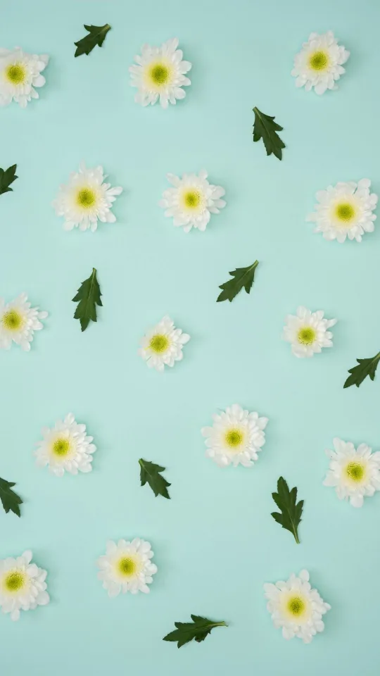 chamomile leaves minimalism wallpaper