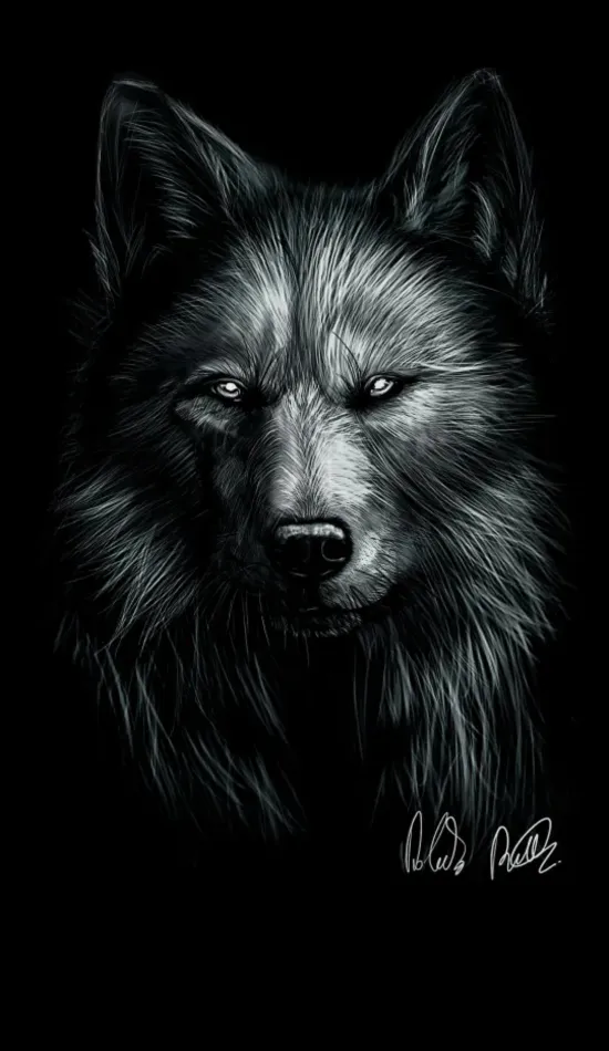 cool black wolf wallpaper