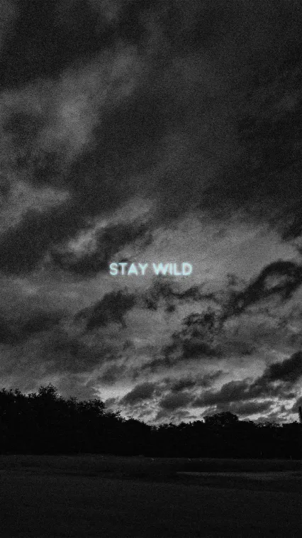 thumb for Stay Wild Iphone Wallpaper