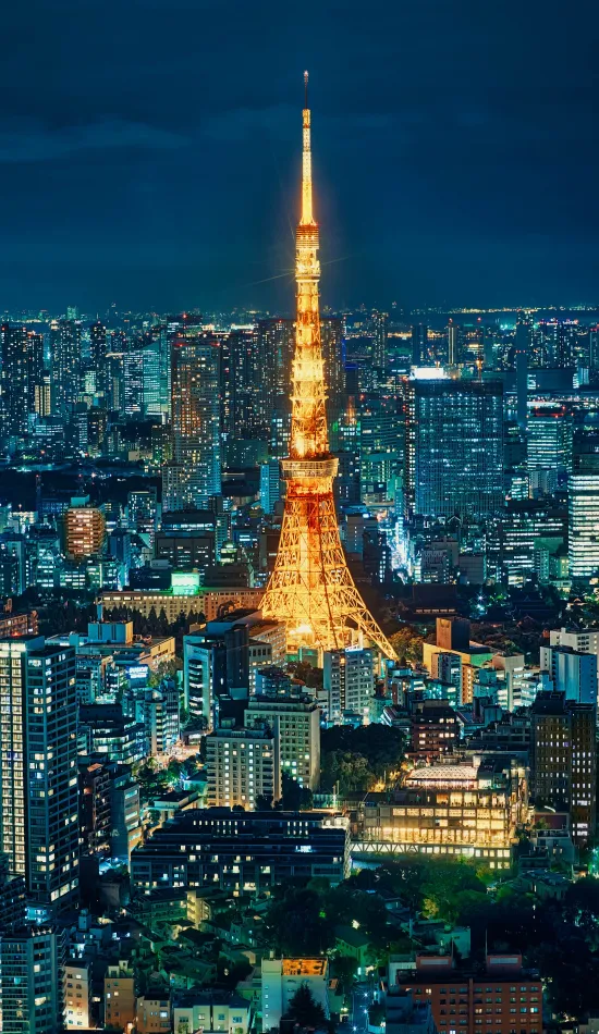 thumb for Tokyo Tower Wallpaper