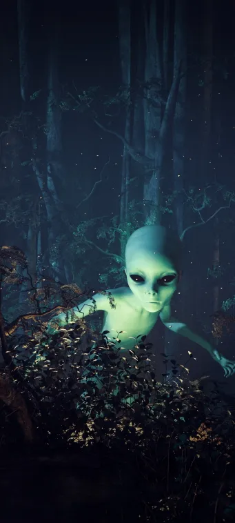 an alien in mystic forest wallpaper