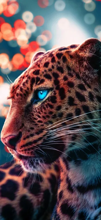 thumb for Magical Eyes Cheetah Iphone Wallpaper