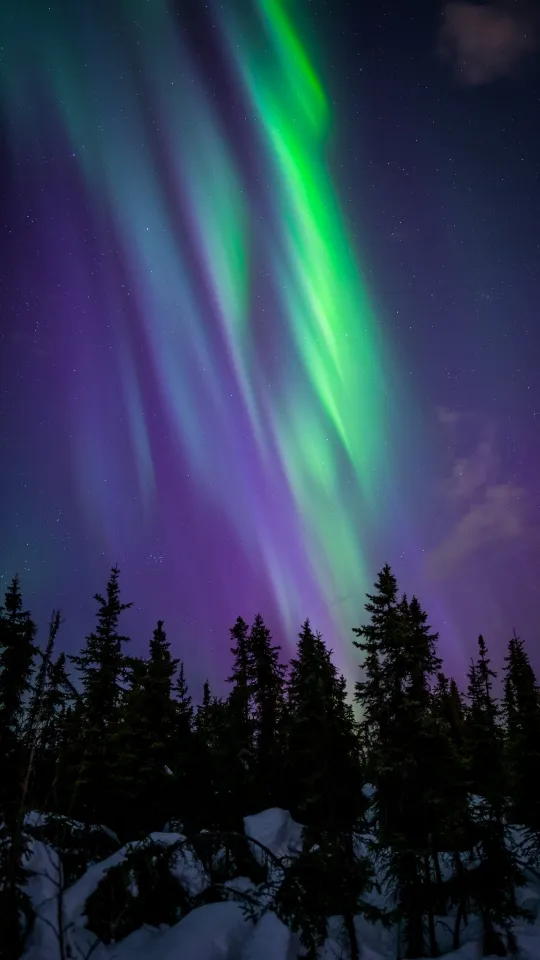 aurora northern lights wallpaper