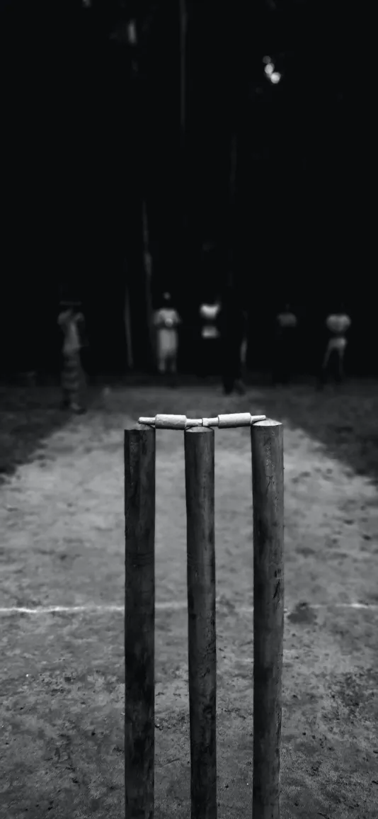 moneyballing cricket wallpaper