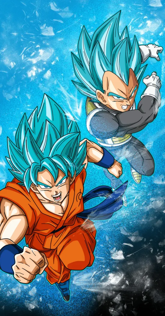 thumb for Goku And Vageta Hd Wallpaper