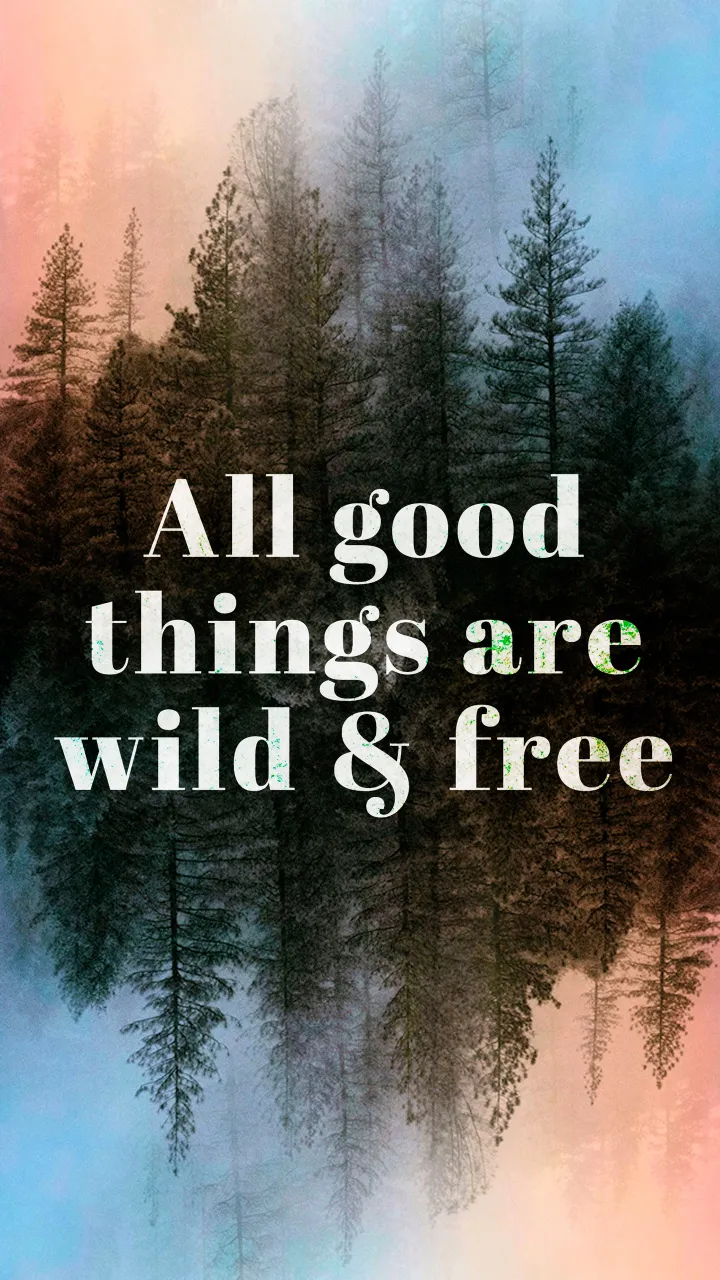 thumb for All Good Things Are Wild And Free Quotes Wallpaper