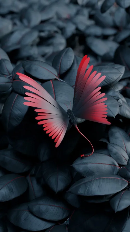 butterfly leaves wings wallpaper