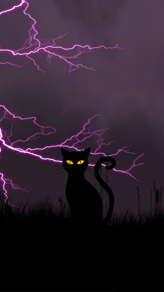 black cat lightning wallpaper